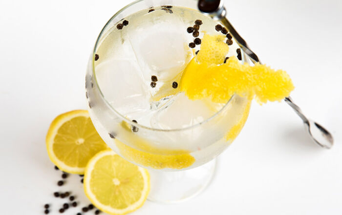 Como se hace y como no se hace un gin tonic