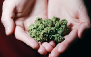 ¿Cuántos gramos de marihuana puedo cargar legalmente en América Latina?