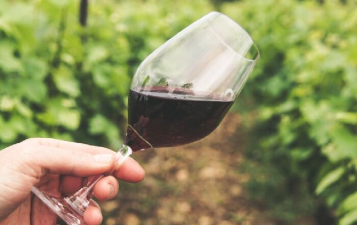 ¿Cómo sé que un vino es bueno? 5 señales para identificarlos sin ser experta