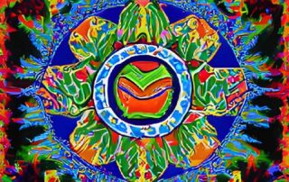 Cómo prepararse para una ceremonia de Ayahuasca