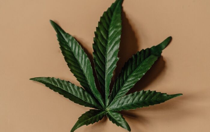 Cómo usar weed de manera segura